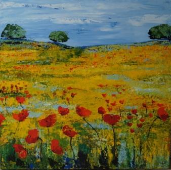 valmuemark 100 x 100, januar 2013
